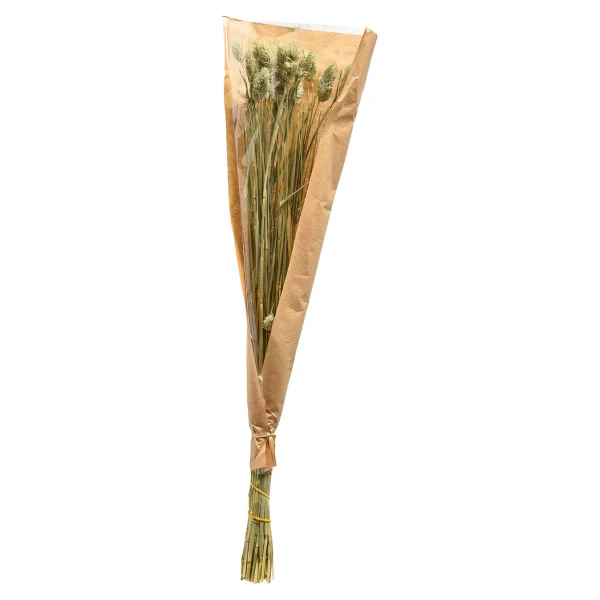 Depot Fleur Sechee Canari