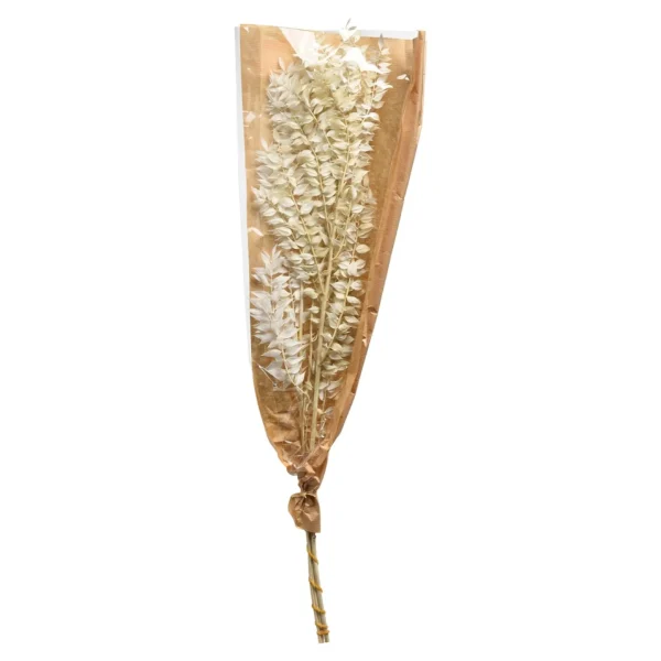 Depot Fleur Sechee De Ruscus