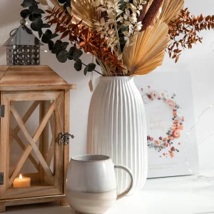 Depot Fleur Sechee De Ruscus