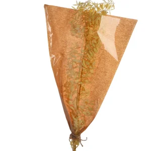 Depot Fleur Sechee De Ruscus