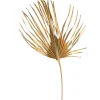 Depot Fleur Sechee Feuille De Palmier Xxl