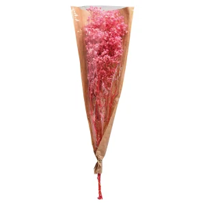Depot Fleur Sechee Gypsophilia