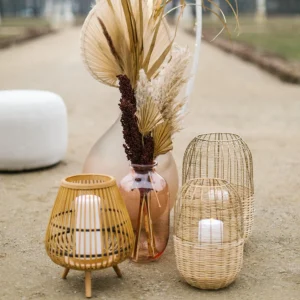 Depot Fleur Sechee Indian Corn