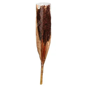 Depot Fleur Sechee Indian Corn