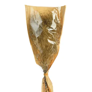Depot Fleur Sechee Lepidium^ Fleurs