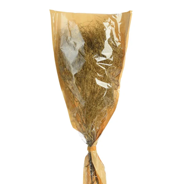 Depot Fleur Sechee Lepidium^ Fleurs
