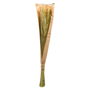 Depot Fleur Sechee Orge