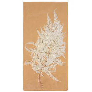 Depot Fleurs Deco Fougere^ Fleurs