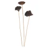 Depot Fleurs Sechees Lotus