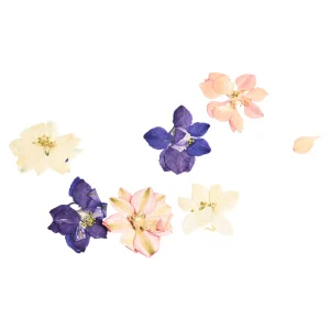 Depot Fleurs Sechees, Melange De Fleurs Printanieres, Pressees^ Décoration Cadeau