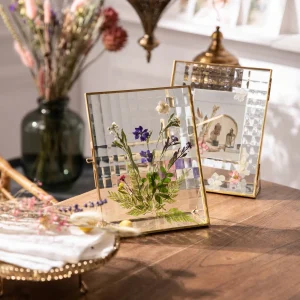 Depot Fleurs Sechees, Melange De Fleurs Printanieres, Pressees^ Décoration Cadeau