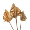 Depot Fleurs Sechees Palmleaf