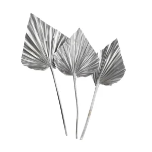 Depot Fleurs Sechees Palmleaf