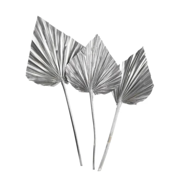 Depot Fleurs Sechees Palmleaf