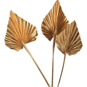 Depot Fleurs Sechees Palmleaf