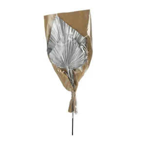Depot Fleurs Sechees Palmleaf