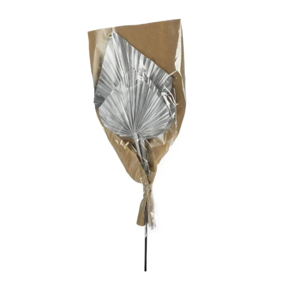 Depot Fleurs Sechees Palmleaf