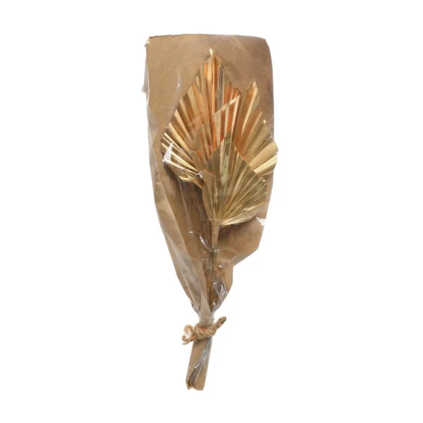 Depot Fleurs Sechees Palmleaf