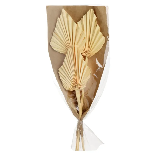 Depot Fleurs Sechees Palmleaf