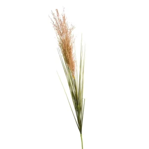 Depot Herbe De La Pampa Artificielle