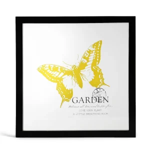 Depot Image Papillon