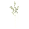 Depot Kunstblume Mini Ruscus Ca. 50Cm^ Décoration De La Couronne De L'Avent