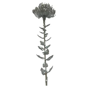 Depot Kunst-Stielblume Protea Ca. 67Cm^ Fleurs