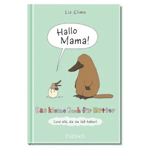 Depot Livre Bonjour Maman : Le Petit Livre Pour Les Mamans