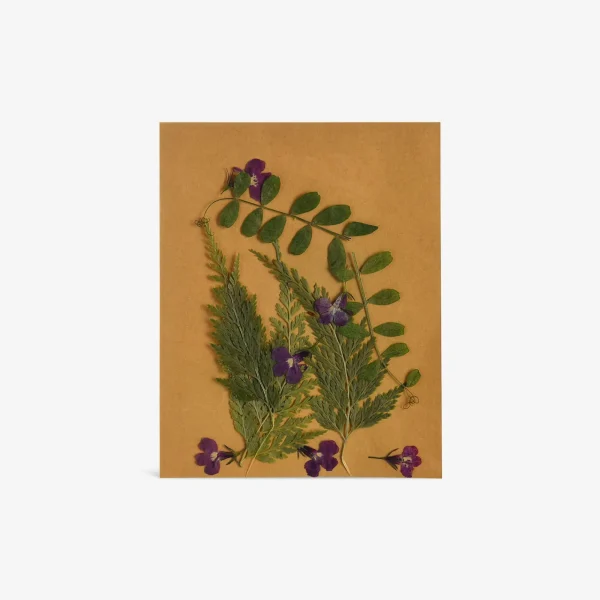 Depot Melange De Fleurs Et De Feuilles Sechees, Presse^ Décoration Cadeau