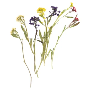 Depot Melange De Fleurs Sechees Et De Fleurs A Tige, Presse^ Décoration Cadeau
