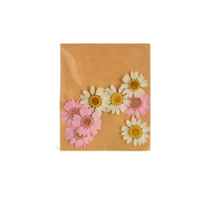 Depot Melange De Fleurs Sechees De Marguerite, Presse^ Décoration Cadeau