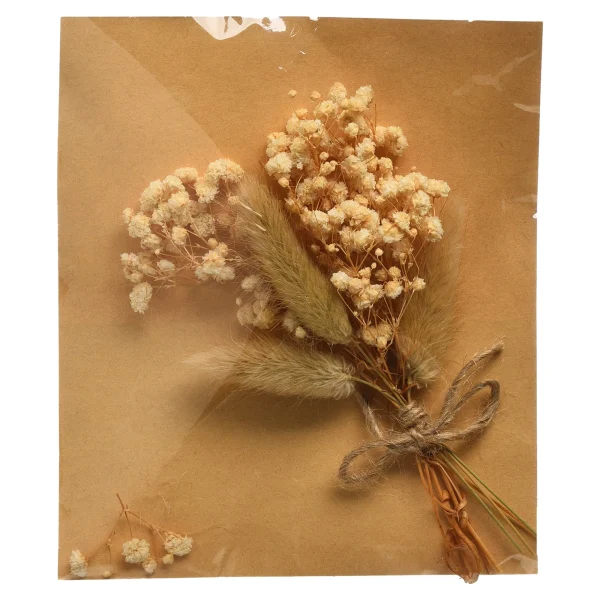 Depot Mini-Bouquet De Fleurs Sechees Dried Flowers^ Décoration Cadeau