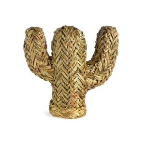 Depot Objet Décoratif Cactus