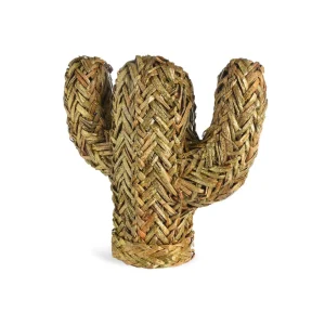 Depot Objet Décoratif Cactus