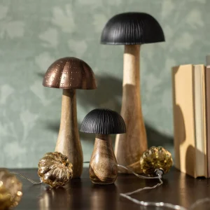 Depot Objet Décoratif Champignon Rills