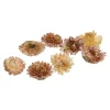 Depot Pailles Naturelles Fleurs De Paille