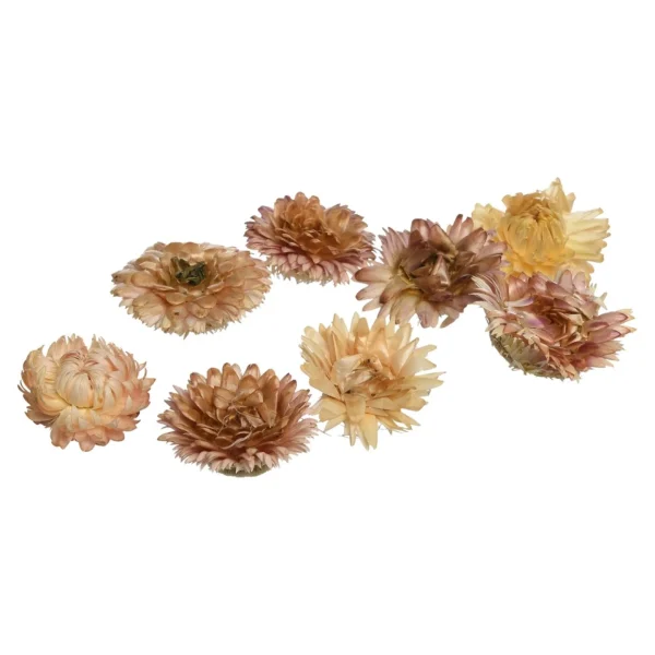 Depot Pailles Naturelles Fleurs De Paille