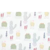 Depot Papier Cadeau Cactus