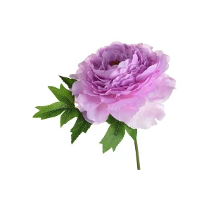 Depot Pediculaire Artificiel Peonie