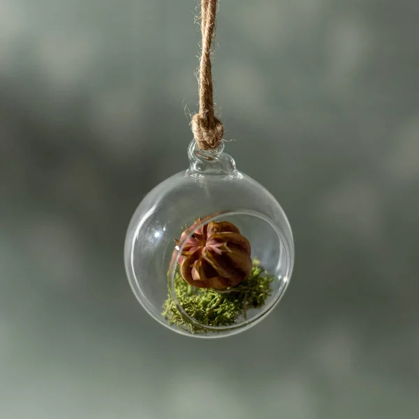 Depot Pendentif Décoratif En Verre Hole