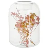 Depot Photophore Fleurs Seches^ Lanternes & Chandeliers