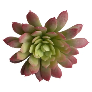 Depot Pic A Fleurs Artificiel Succulente