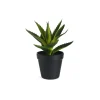 Depot Plante Artificielle Aloe Vera En Pot^ Arbres Artificiels