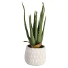 Depot Plante Artificielle Aloe En Pot^ Arbres Artificiels