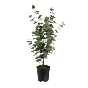 Depot Plante Artificielle D'Eucalyptus Dans Un Pot^ Arbres Artificiels