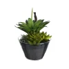 Depot Plante Artificielle Melange De Plantes Succulentes Dans Un Recipient En Verre^ Arbres Artificiels