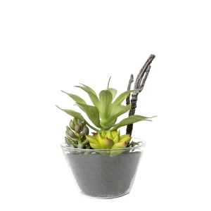 Depot Plante Artificielle Melange De Plantes Succulentes Dans Un Recipient En Verre^ Arbres Artificiels