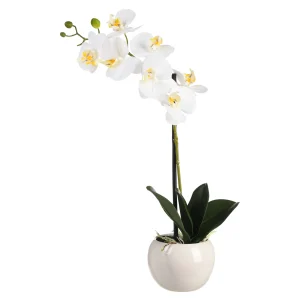 Depot Plante Artificielle Orchidee Phalaenopsis^ Arbres Artificiels