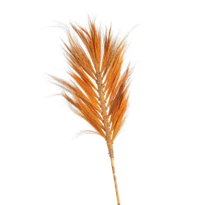 Depot Plume De Bambou Seche