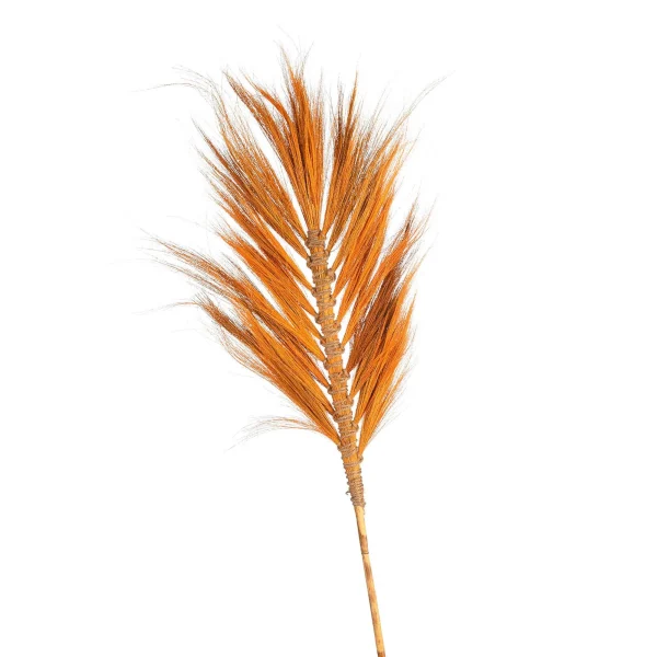 Depot Plume De Bambou Seche